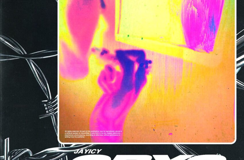  Jay Icy – Cryo (Instrumental Mixtape)