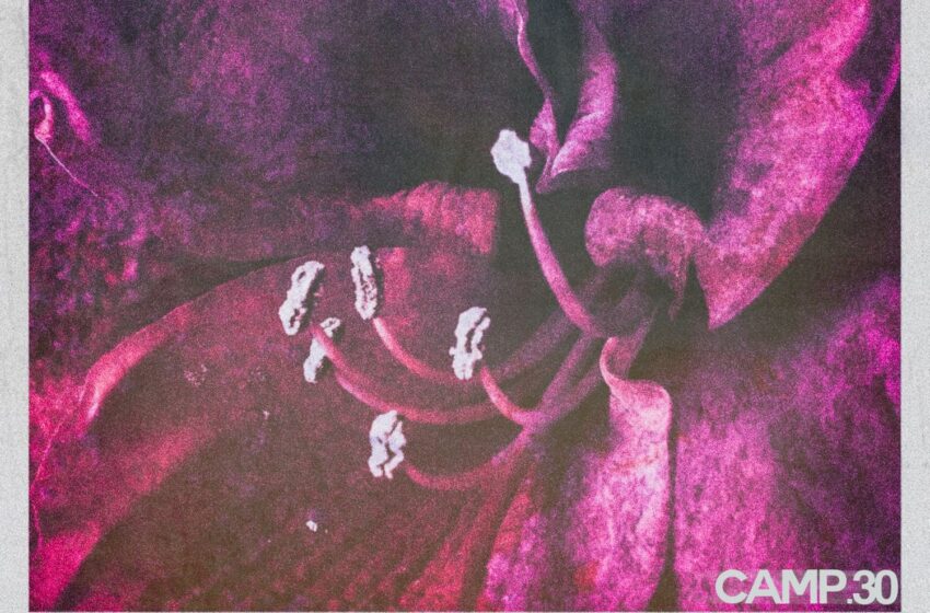  CAMP.30 – INSOMNIAK (Instrumental Mixtape)