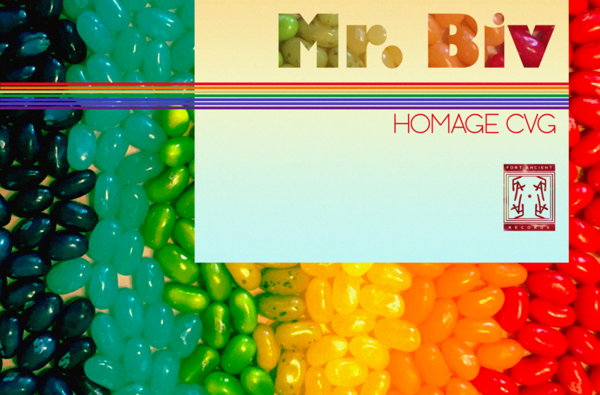  Homage CVG – Mr. Biv (Instrumental Mixtape)