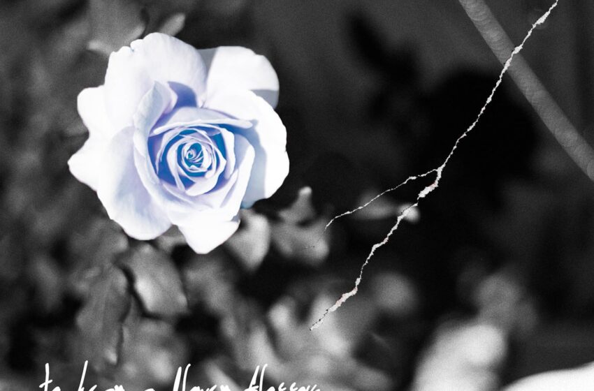  Phre Rhyter – to hear a flower blossom (Instrumental Mixtape)