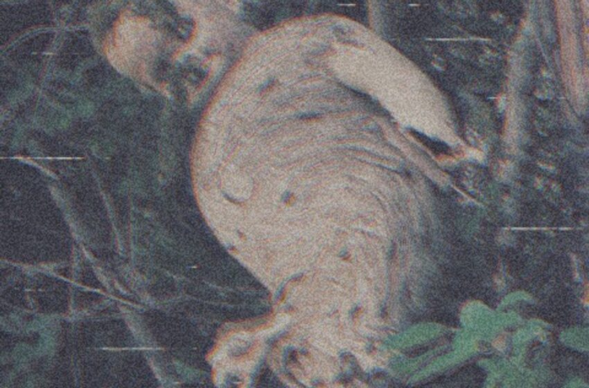  Tribe Vega$ – Colossal 3 (Instrumental Mixtape)