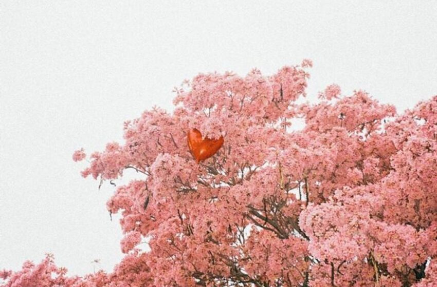  C-FRXSH – Hear Me Out!: Beat Tape (Instrumental Mixtape)