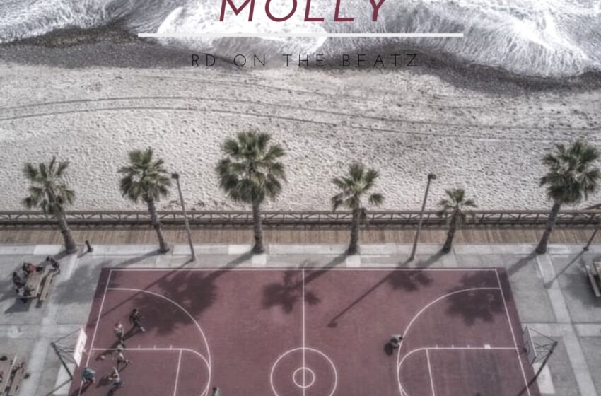  RD On the Beatz – Molly (Instrumental Mixtape)