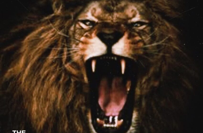  Dubb – The Art Of Emotion III (Instrumental Mixtape)