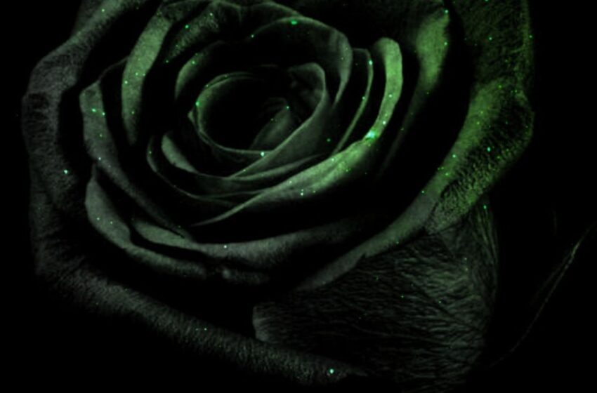  Whiteboi Beats – Feelings: R&B Instrumentals Vol. 2 (Instrumental Mixtape)