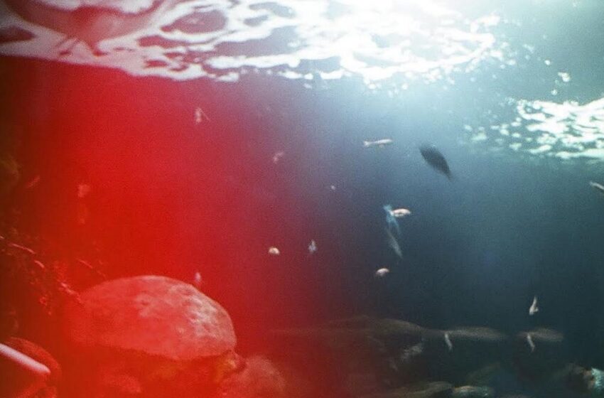  Graymatter – Danger Room: Instrumentals #2 (Instrumental Mixtape)