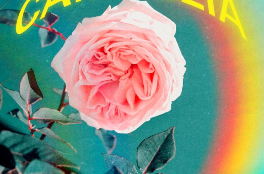  Braille Eastside – CAMELLIA: Beat Tape (Instrumental Mixtape)