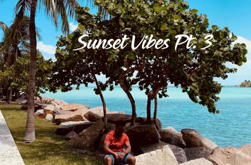  Meeb – Sunset Vibes Pt. 3: Smooth R&B Instrumentals (Instrumental Mixtape)