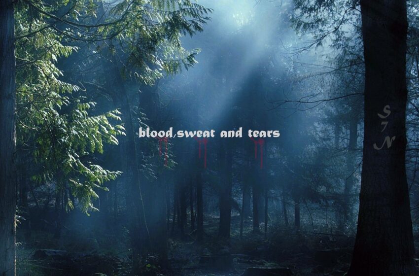  Sev’n – Blood, Sweat & Tears (Instrumental Mixtape)