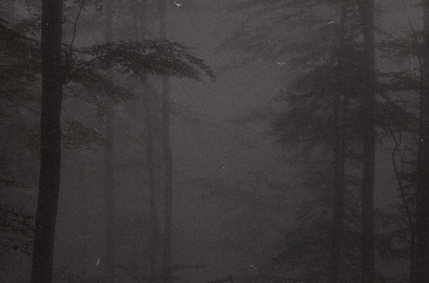  DxrkCloudBeats – Forest (Instrumental Mixtape)