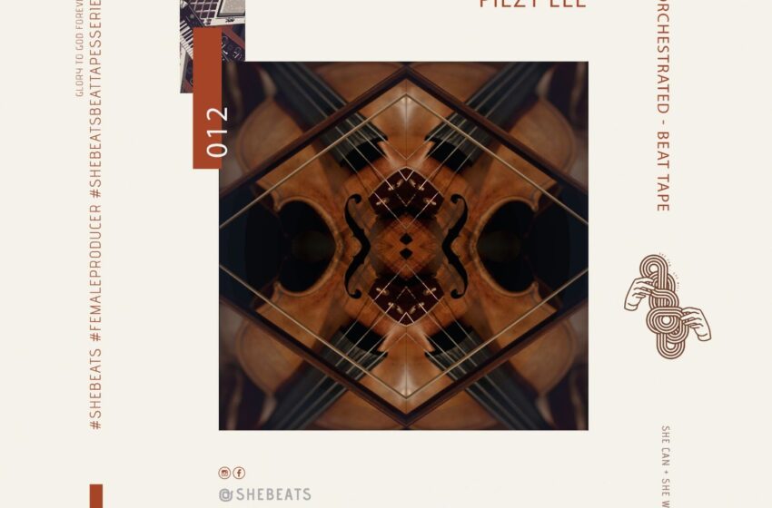  Pilzy Lee – Orchestrated (Instrumental Mixtape)