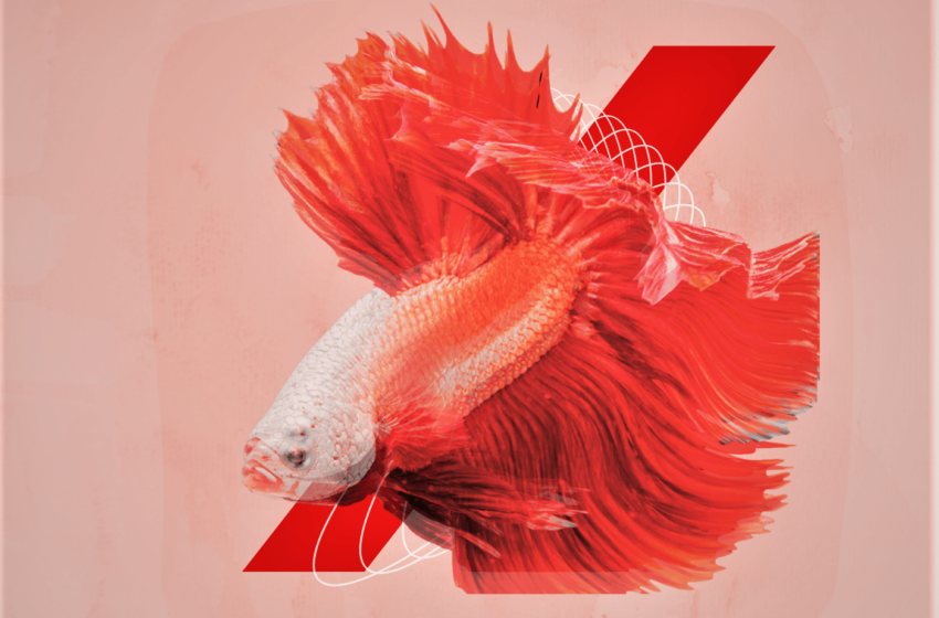  Nick D. Wolfwood III – Hazy Views (Instrumental Mixtape)