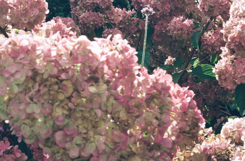  MAYAEWK – The Village (Instrumental Mixtape)