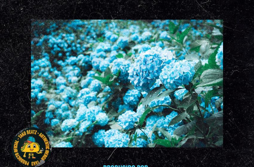  Tako Beatz – Blue Beattape (Instrumental Mixtape)