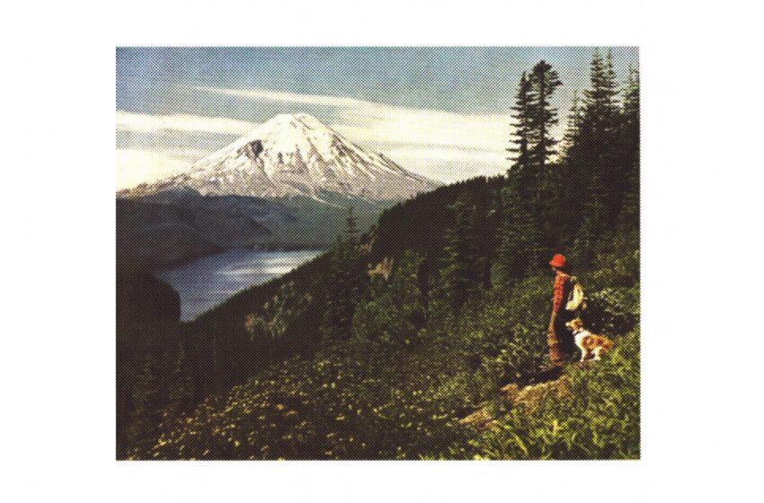  LEVNOUS – Voyage (Instrumental Mixtape)