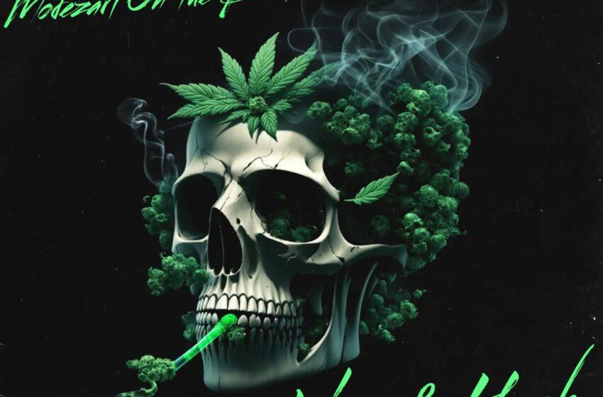  Dékoren Rose & Modezart – LBZ & HASH: The Beat Tape (Instrumental Mixtape)