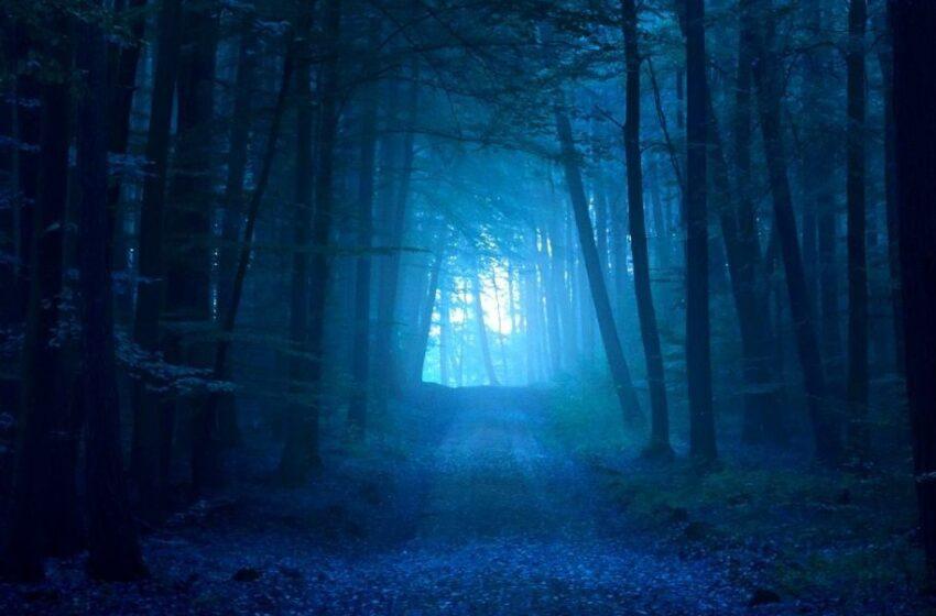  OWL – Toven: Instrumentals (Instrumental Mixtape)